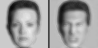 descubre cómo accedes a la realidad
